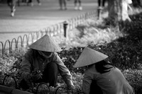 Vietnam-9