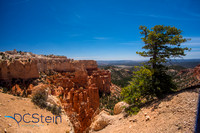 So. Utah & No. Az. Landscapes-20