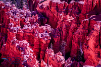 So. Utah & No. Az. Landscapes-12